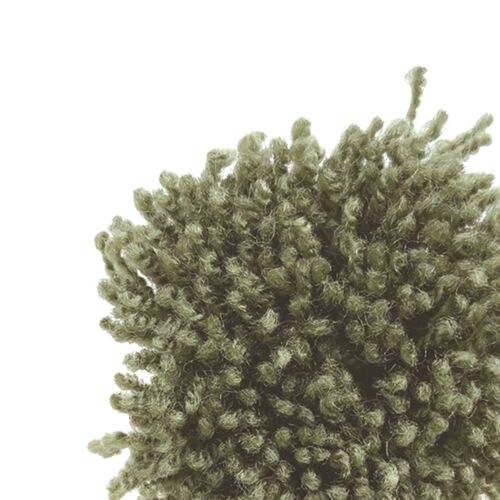 134 HERB