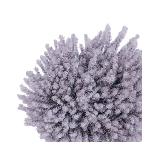 154 CROCUS