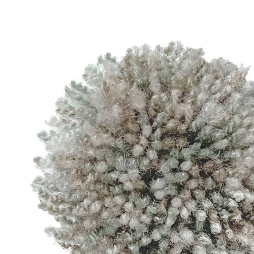167 Greige MIX